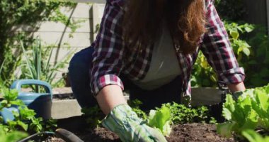 Şapka takan, bahçıvanlık yapan ve bahçede gülümseyen mutlu beyaz kadın. ev hayatı, evde zaman geçirmek..