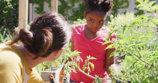 Χαρούμενη Καυκάσια Γυναίκα Και Αφροαμερικανή Κόρη Της Κάνουν Κηπουρική Μαζί — Αρχείο Βίντεο
