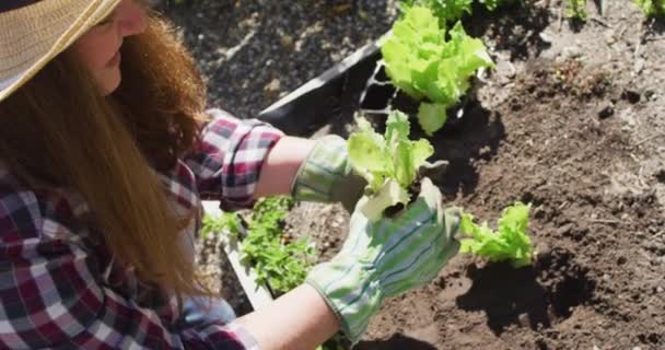 Mulher Caucasiana Feliz Usando Chapéu Jardinagem Sorrindo Jardim Vida Doméstica — Vídeo de Stock