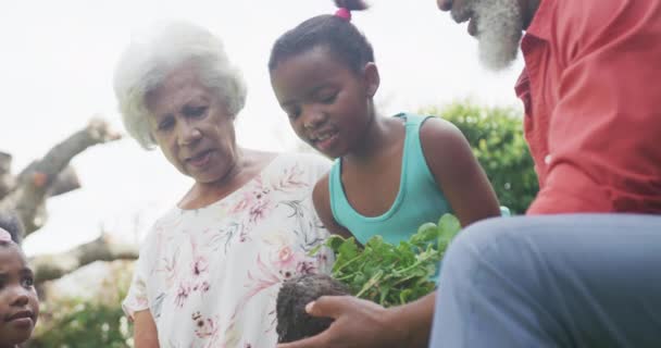 Счастливые Старшие Африканские Бабушка Дедушка Внуками Работающими Саду Семья Проводит — стоковое видео