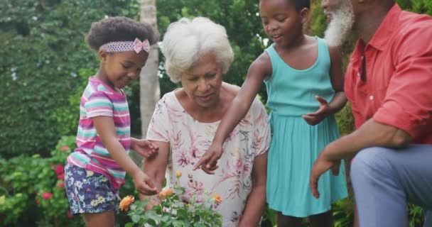 Mutlu Son Sınıf Afro Amerikan Dedeleri Bahçede Çalışan Torunları Aile — Stok video