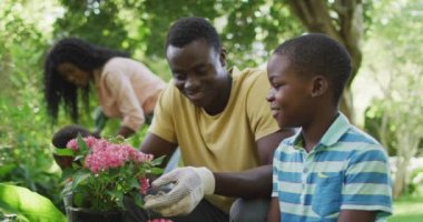 Mutlu Afro-Amerikan baba ve oğlunun bahçeye çiçek ekmesinin animasyonu. Aile, bahçıvanlık, birlikte dışarıda kaliteli zaman geçirmek..
