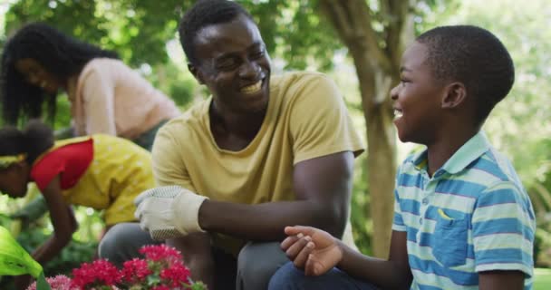 Animatie Van Gelukkige Afro Amerikaanse Vader Zoon Planten Bloemen Tuin — Stockvideo