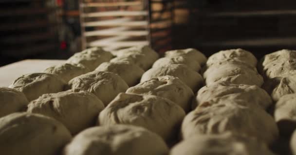 Animation Rangées Petits Pains Frais Prêts Cuire Travailler Boulangerie Petite — Video