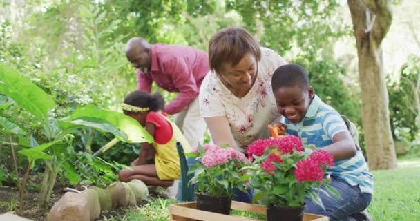 Animation Happy African American Grandmother Grandson Planting Flowers Garden Family — Vídeos de Stock