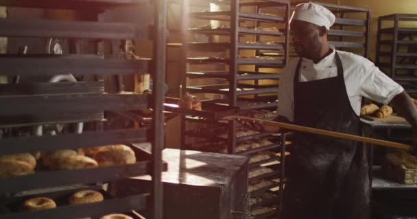 Animation Glad Afrikansk Amerikansk Manlig Bagare Som Håller Trä Spatel — Stockvideo