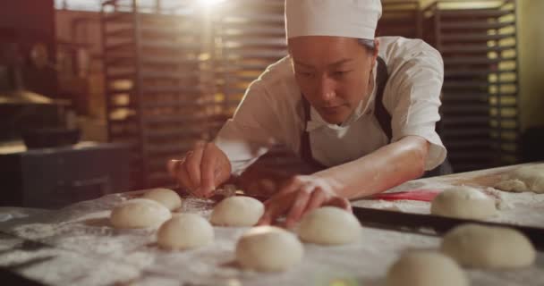 Animation Focused Asian Female Baker Arranging Rolls Tray Working Bakery — Stock Video