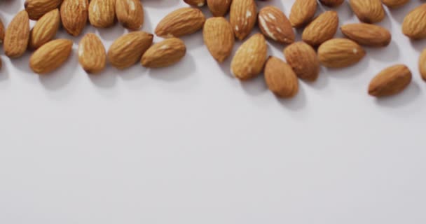 Video Almond Latar Belakang Putih Makanan Vegan Segar Tanaman Berbasis — Stok Video