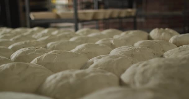 Fırında Pişirmek Için Hazırlanmış Ekmek Animasyonu Pastanede Çalışmak Bağımsız Geleneksel — Stok video