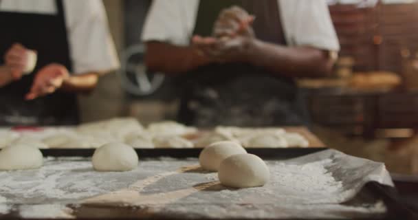 Animación Diversos Panaderos Femeninos Masculinos Preparando Panecillos Trabajo Panadería Pequeña — Vídeos de Stock