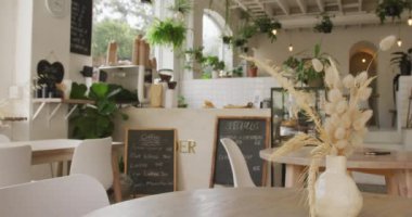 Tezgahı, masaları, sandalyeleri ve bitkileri olan modern kafenin genel manzarası. Küçük bağımsız kafe işletmesi.