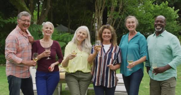 Animazione Diversi Amici Anziani Felici Femminili Maschili Brindare Con Vino — Video Stock