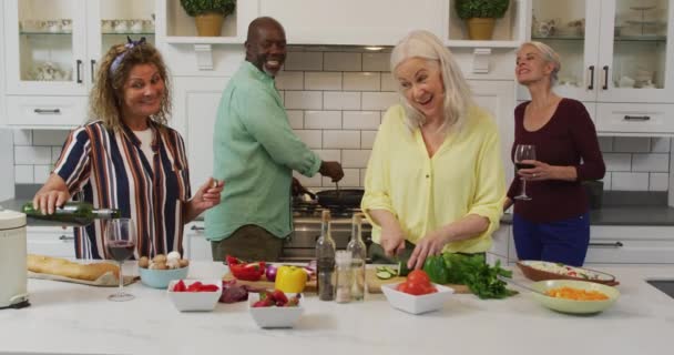 Animacja Szczęśliwych Zróżnicowanych Kobiet Mężczyzn Starszych Przyjaciół Przygotowujących Posiłek Kuchni — Wideo stockowe