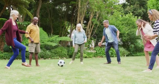 庭でサッカーをしている幸せな多様な女性と男性の先輩のアニメーション 退職生活 友人との時間を過ごすこと — ストック動画