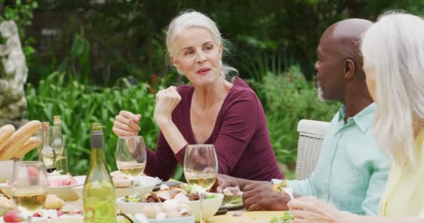 園内でランチを食べる多様な幸せな先輩女性と男性の友人のアニメーション 退職生活 友人との時間を過ごすこと — ストック動画