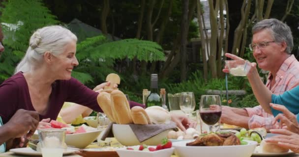 不同类型快乐的老年男女朋友在花园里吃午饭的动画 退休生活 与朋友共度美好时光 — 图库视频影像