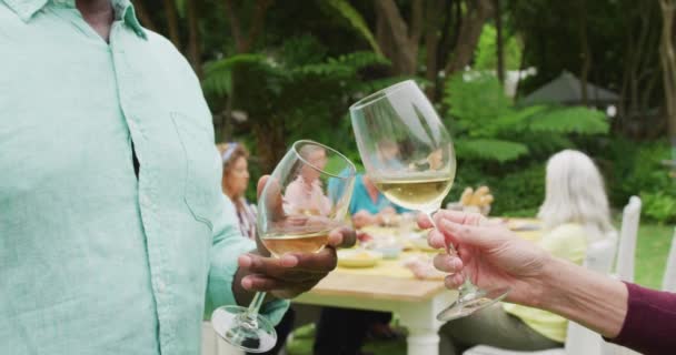 Animation Des Mittelteils Diverser Älterer Freunde Die Mit Wein Garten — Stockvideo