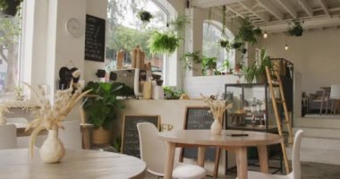 Tezgahı, masaları, sandalyeleri ve bitkileri olan modern kafenin genel manzarası. Küçük bağımsız kafe işletmesi.