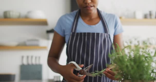 Mujer Afroamericana Feliz Preparando Cena Cocina Estilo Vida Doméstico Pasar — Vídeo de stock