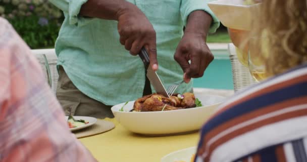 Happy African American Senior Man Cutting Meat Lunch Friends Garden — Stock Video