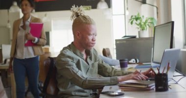 Albino Afro-Amerikan iş adamı yaratıcı ofiste dizüstü bilgisayar kullanıyor. Yaratıcı ofiste iş ve finans.