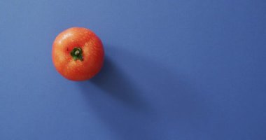Mavi arka planda fotokopi alanı olan taze kırmızı domates videosu. Füzyon yiyecekler, taze sebzeler ve sağlıklı yeme konsepti.