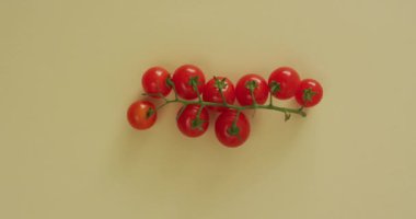 Sarı zemin üzerinde fotokopi alanı olan taze domateslerin videosu. Füzyon yiyecekler, taze sebzeler ve sağlıklı yeme konsepti.