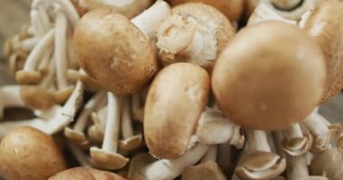 Ahşap arka planda mantarların yakın çekim videosu. Füzyon yiyecekler, taze sebzeler ve sağlıklı yeme konsepti.