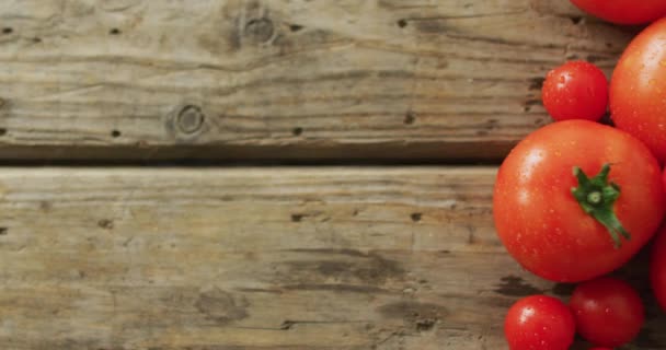 Video Von Frischen Tomaten Und Kirschtomaten Mit Kopierraum Über Holzhintergrund — Stockvideo