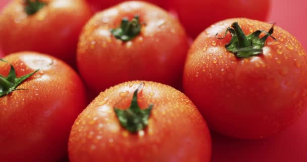 Vídeo Perto Tomates Vermelhos Frescos Fundo Rosa Alimentos Fusão Legumes — Vídeo de Stock