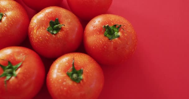 Video Primer Plano Tomates Rojos Frescos Sobre Fondo Rosa Alimentos — Vídeo de stock