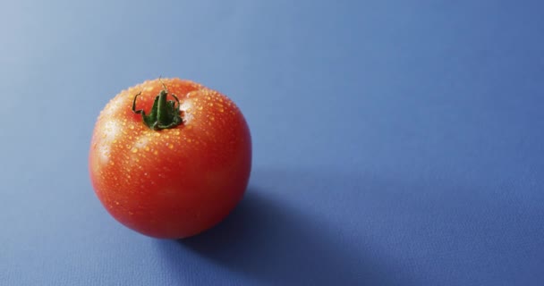 Video Fresh Red Tomato Copy Space Blue Background Fusion Food — Stock Video