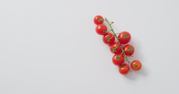 Vídeo Tomates Cereja Frescos Com Espaço Cópia Fundo Branco Alimentos — Vídeo de Stock
