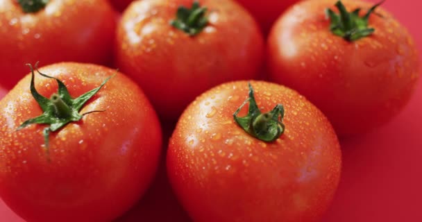 Vidéo Gros Plan Tomates Rouges Fraîches Sur Fond Rose Aliments — Video