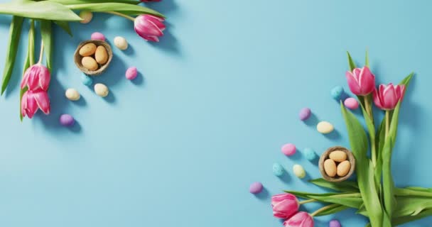 Wideo Zdobione Kolorowe Pisanki Kwiaty Niebieskiej Powierzchni Sezonowe Wielkanoc Tradycyjne — Wideo stockowe