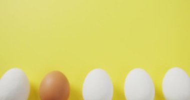 Sarı arka planda bir sıra kahverengi ve dört beyaz yumurtanın videosu. Füzyon yiyeceği, pişirme, yumurta ve paskalya konsepti.