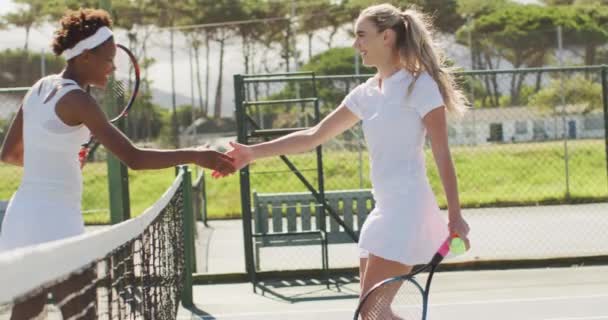 ラケットと握手を持つ幸せな多様な女性テニス選手のビデオ プロテニストレーニングスポーツ競技のコンセプト — ストック動画