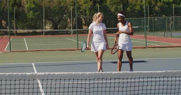 ラケットを持って話す幸せな多様な女性テニス選手のビデオ プロテニストレーニングスポーツ競技のコンセプト — ストック動画