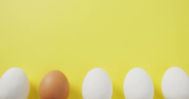 黄色の背景にコピースペースを持つ1つの茶色と4つの白い卵の行のビデオ 融合食品 ベーキング 卵とイースターの概念 — ストック動画