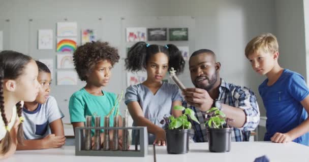 Video Lycklig Afrikansk Amerikansk Manlig Lärare Och Klass Olika Elever — Stockvideo