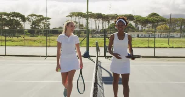 Video Diversas Jugadoras Tenis Felices Sosteniendo Raquetas Caminando Hablando Entrenamiento — Vídeos de Stock