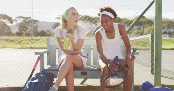 幸せな多様な女性テニス選手が座って 話をし 試合後に休憩のビデオ プロテニストレーニングスポーツ競技のコンセプト — ストック動画