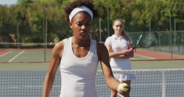 Video Diversas Jugadoras Tenis Pie Cancha Celebración Raquetas Entrenamiento Profesional — Vídeos de Stock