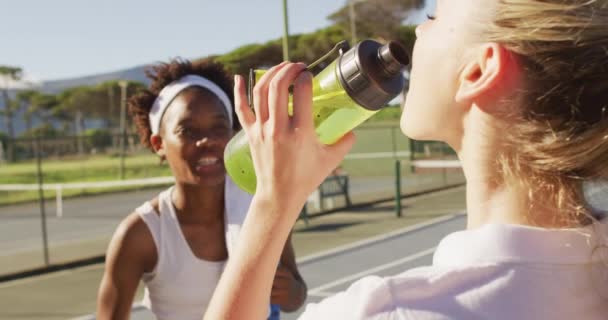 Video Diversas Jugadoras Tenis Felices Hablando Bebiendo Agua Entrenamiento Profesional — Vídeos de Stock