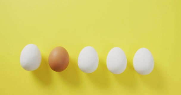 Wideo Rzędem Jeden Bury Cztery Biały Jajko Kopia Miejsce Żółty — Wideo stockowe