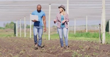 Serada dizüstü bilgisayarlı çeşitli kadın ve adamın yürüdüğü bir video. Modern organik tarım, tarım sektörü ve teknoloji kavramı.