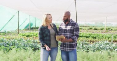 Güneşli bir günde serada tabletli mutlu kadın ve erkeğin videosu. Modern organik tarım, tarım sektörü ve teknoloji kavramı.