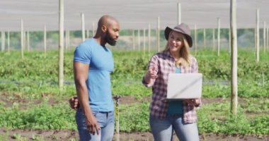 Dizüstü bilgisayarlı çeşitli kadın ve adamın serada konuştuğu bir video. Modern organik tarım, tarım sektörü ve teknoloji kavramı.