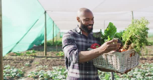 Vídeo Homem Americano Africano Feliz Segurando Cesta Com Legumes Frescos — Vídeo de Stock