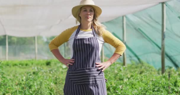 视频中 快乐的高加索女人穿着围裙站在温室里 现代有机农场 农业企业和技术概念 — 图库视频影像